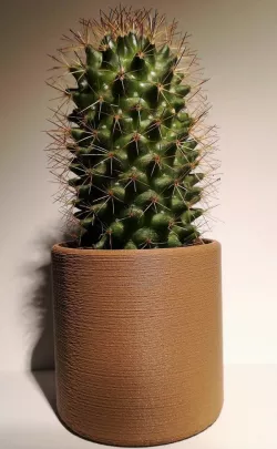Basic minimalist planter 