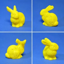 Bunny