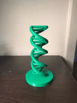 DNA Scale Model