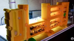 formicarium BetterForm [BF3] (modular kit)