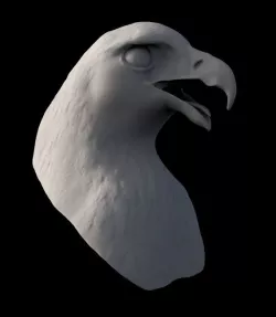 Golden Eagle