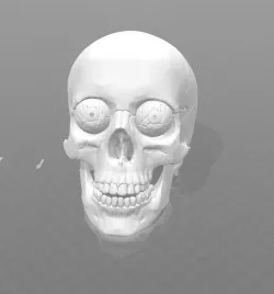 Hollow Human Skull with Accessories - High Res
