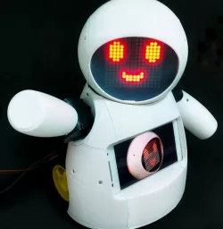 Joy Robot (Robô Da Alegria)