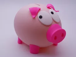 Mr Biggy Panks - The Rather Shy Piggy Bank