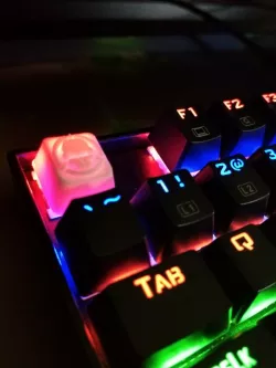 Rotor Riot Esc Key