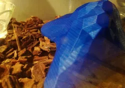 Shelter for a snake in terrarium