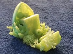 Shipwrecked Coral Benchy