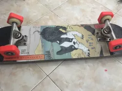 Skater Trainers