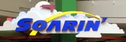 Soarin' Logo
