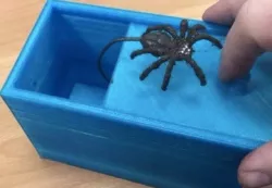 Spider Scare Box