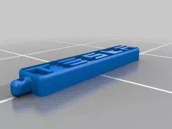 Tesla Keychain