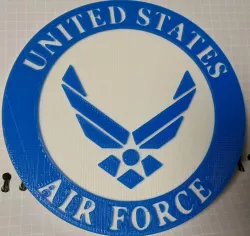 U.S. Air Force Placard (logo)