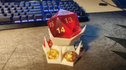 55mm D20 Holder
