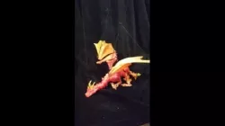 Braq the dragon puppet
