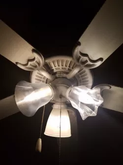 Ceiling Fan Flower Lamp Shade