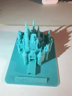 Cinderella's Castle