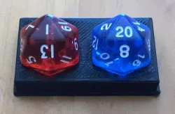 Double D20 Holder