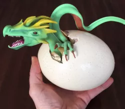 Dragon Hatchling