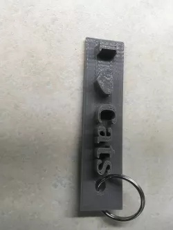 I love cats keychain