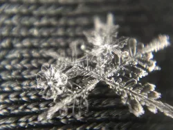 iPhone Microscope 