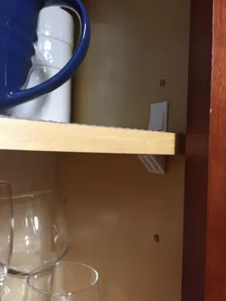 Kitchen Cabinet Shelf Peg
