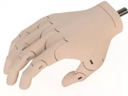 Kwawu 2.0 Prosthetic Hand