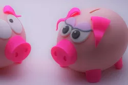Mrs Biggy Panks