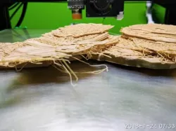 Pancake-free T-Rex Skeleton