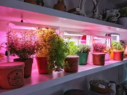 Plant Indoor growing LED Pot-Lamp