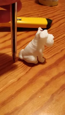Schnauzer