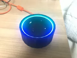 Simplified echo dot case