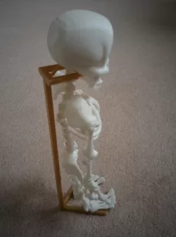 Skeleton Stand