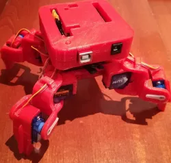 spider robot