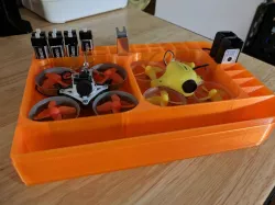 Whoop Dual Case
