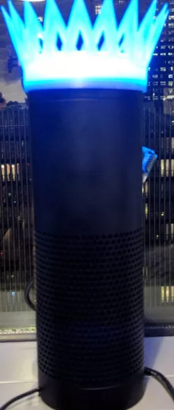 Amazon Echo Crown