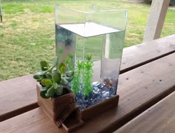 Betta Fish Villa Plant Pot