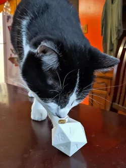 D20 Cat Treat Toy with Expanded Treat Opening
