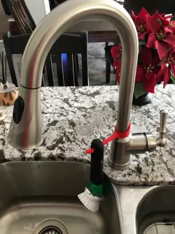 Dish brush hook