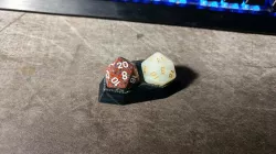Duo D20 Holder