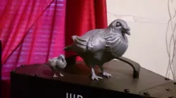 Fat Pigeon