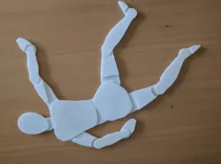 Human body template