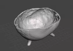 Human Skull Bowl Replica