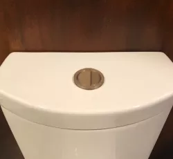 Kohler 4419 Dual Flush Actuator