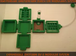 Little Formicarium