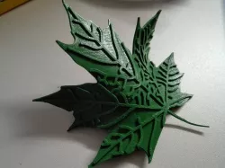 Maple Leaf 