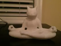 Meditating Cat