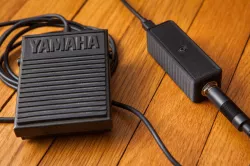 PC Footswitch with Sustain Pedal