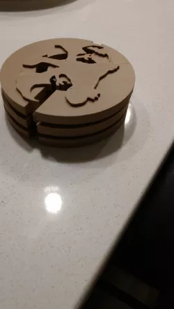 Pokemon Coasters