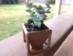Roman Desk Flower Pot
