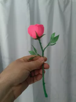 Rose and thorn stem